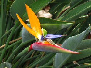 Dieses Bild wird mir den Pulitzer-Preis bringen... aufgenommen an der Painted Church